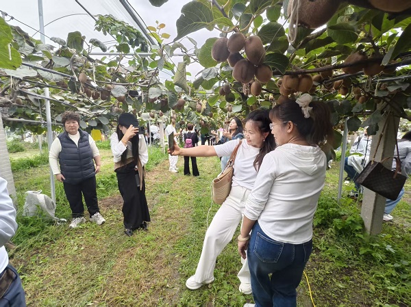 宝鸡市眉县：丰收写在果农脸上 警灯亮在农户心里