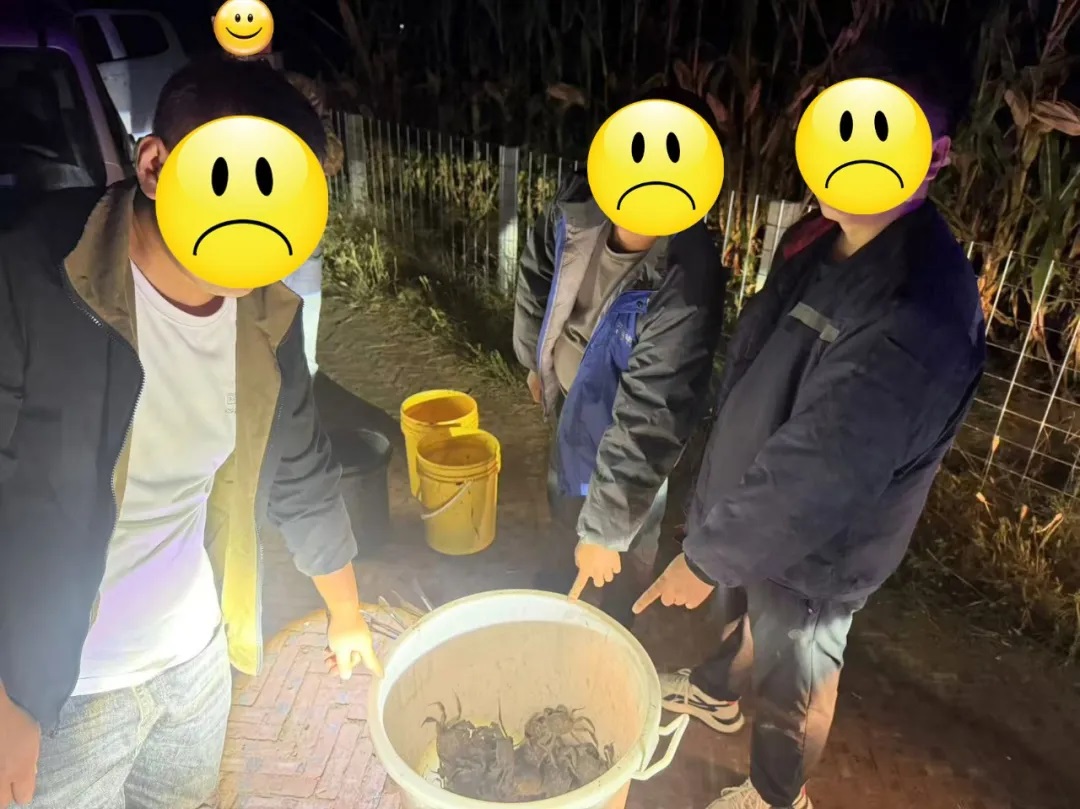 馋嘴想吃时令蟹！榆林3名男子夜盗30斤螃蟹被行拘 