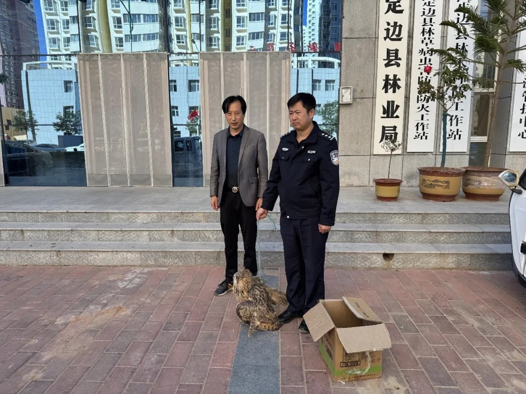 榆林一农田现大型鸟类？警民联手救助国家二级保护动物
