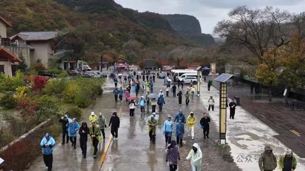 铜川市耀州区举行“王者荣耀・耀州苹果”双耀计划助农直播带
