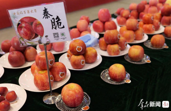 “果中精品”揭晓！铜川市耀州区移村果农摘得秦脆组金奖