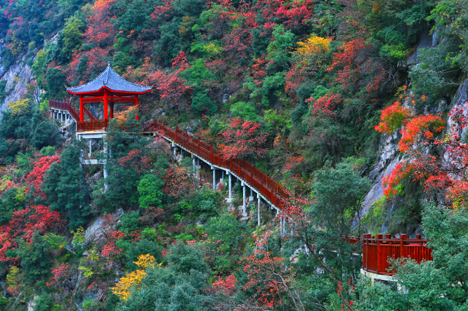 <b>“引客入汉”加速度  汉中文旅赋能扩消费</b>