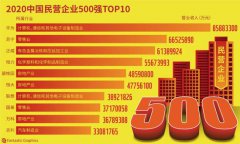 <b>陕西5家企业入选“中国民企500强”</b>