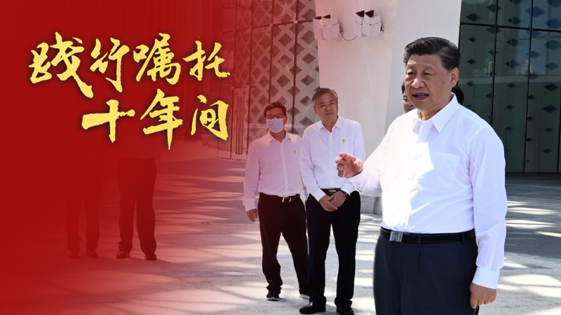 <b>优化营商环境，成为新时代中国改革开放的示范（践行嘱托十年间）</b>