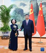 <b>习近平会见越共中央政治局委员、中央书记处常务书记、中组部部长张氏梅</b>