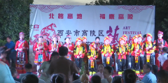 <b>高陵区第三届葫芦文化艺术节开幕式举行</b>