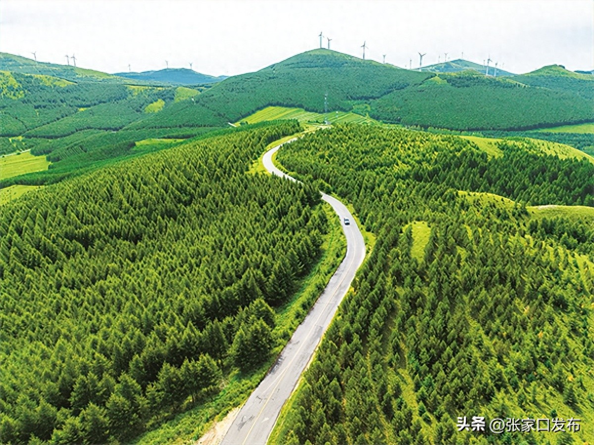<b>河北张家口市森林草原防灭火形势总体平稳</b>