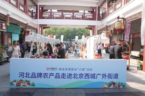 <b>“河北净菜”进京展销惠及两地</b>