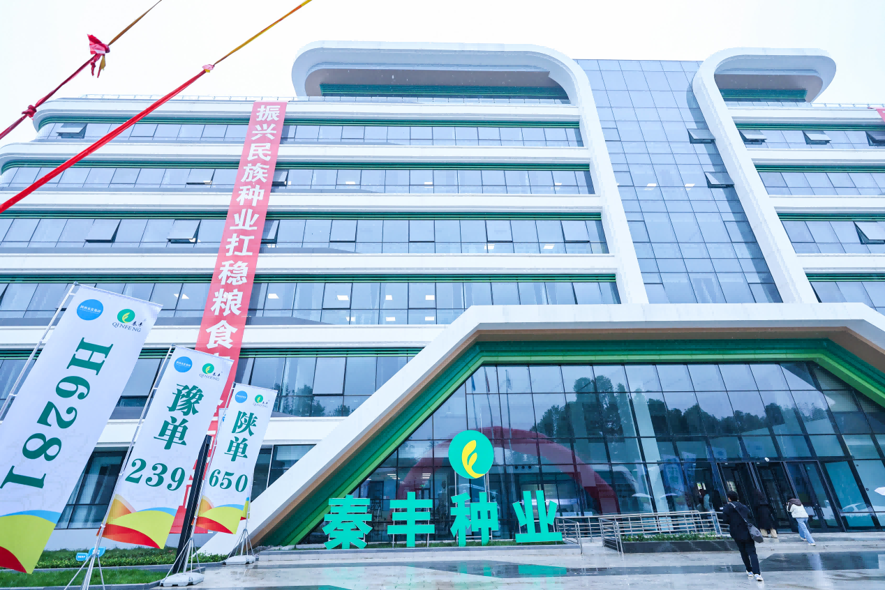 <b>生物育种“双翼”齐飞 看杨凌秦丰种业如何搭建种业创新“金字塔”</b>