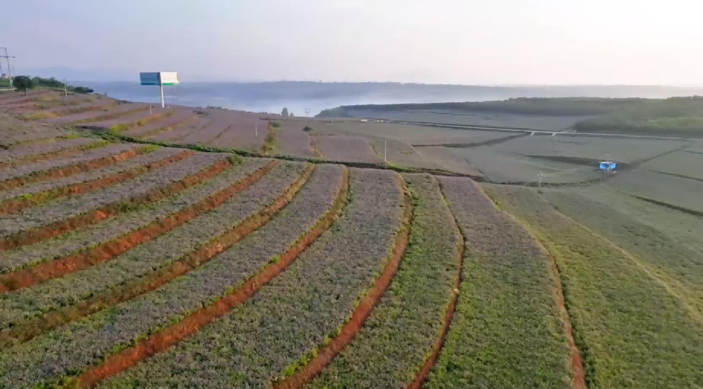 <b>河南：“坡改梯”固土生金 绘就生态振兴新画卷</b>