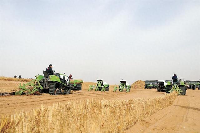 <b>从库布其到乌兰布和 内蒙古打响春季防沙治沙攻坚战</b>